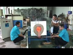 Machine de fonte d'induction industrielle pour le palladium de platine d'or